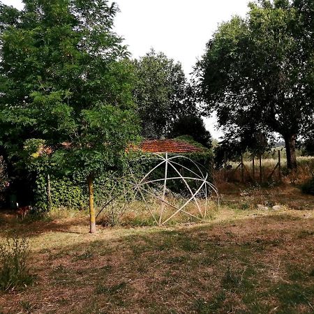 Da Pino Guest House Montemerano Luaran gambar