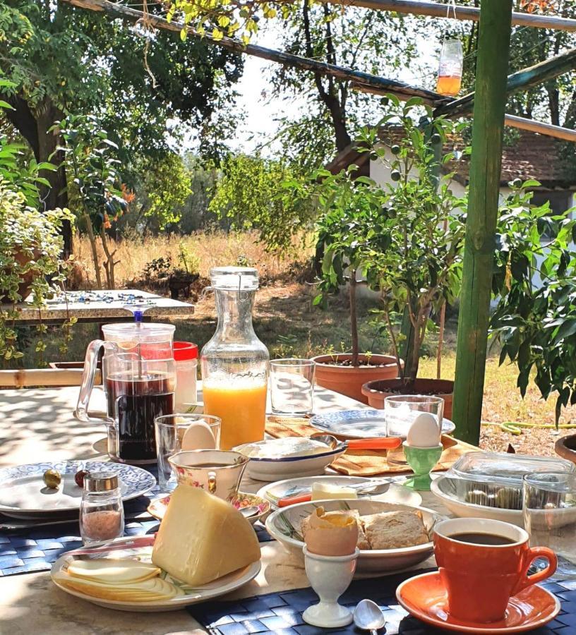 Da Pino Guest House Montemerano Luaran gambar