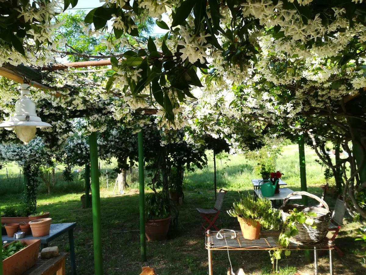 Da Pino Guest House Montemerano Luaran gambar